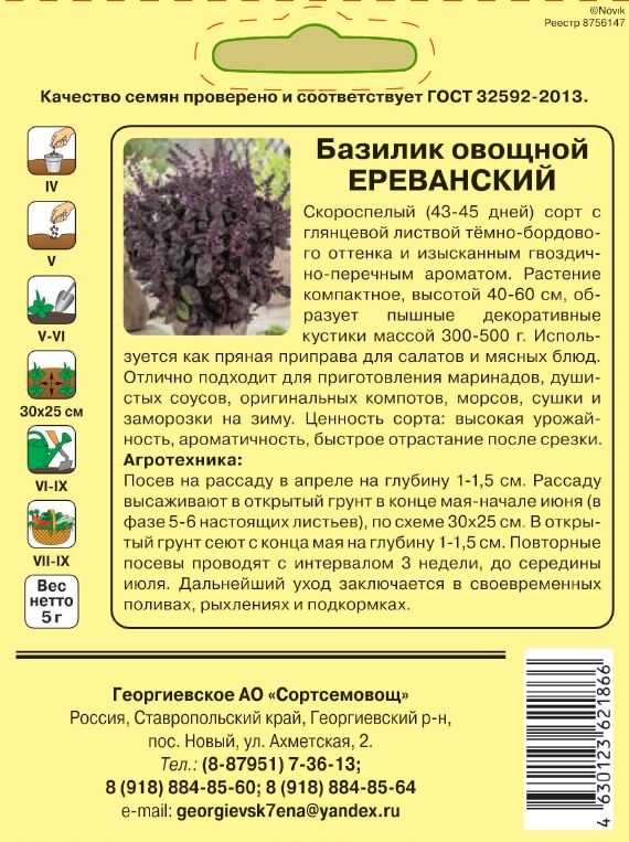 Базилик овощной Ереванский 5г купить семена по каталогу почтой, цена, описаниесорта, отзывы, доставка наложенным платежом по России