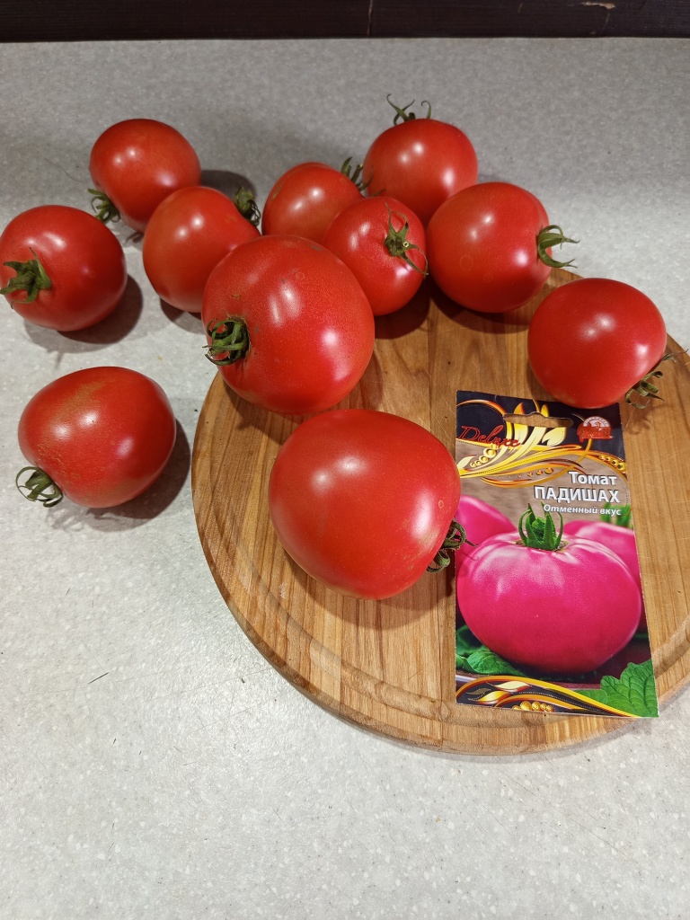 Товарный вид на 5+.jpg Товарный вид на 5+.jpg