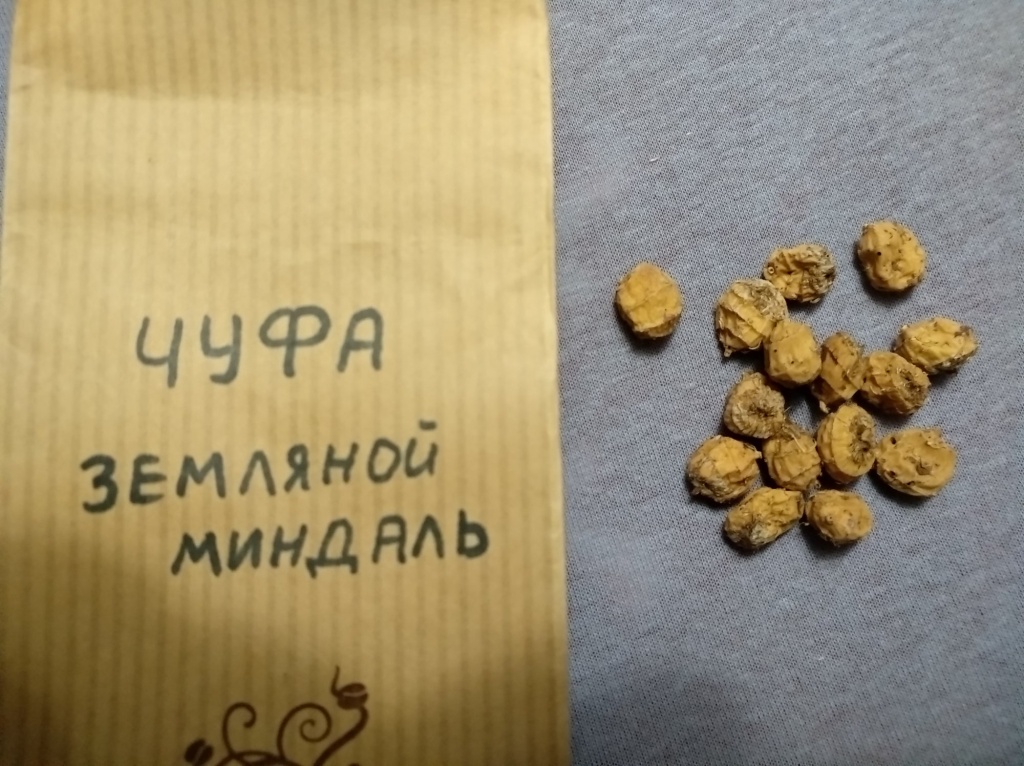 Чуфа клубеньки.jpg