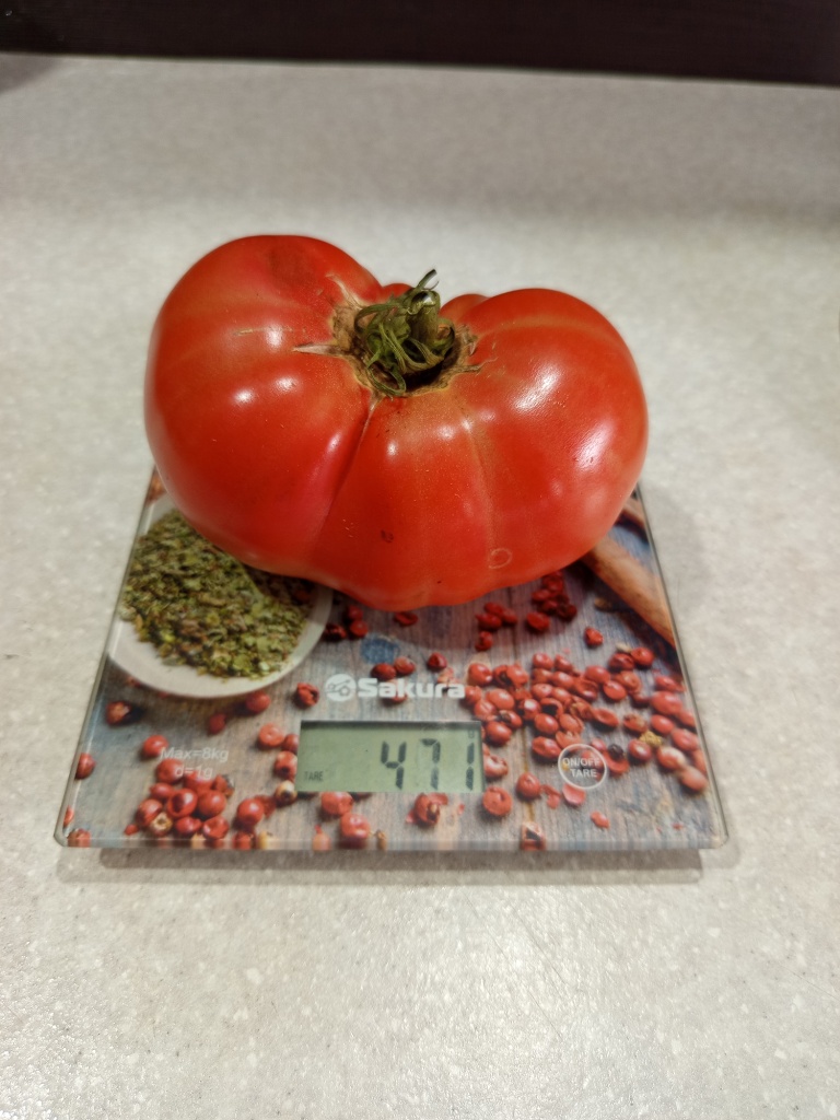 Почти полкило.jpg Почти полкило.jpg