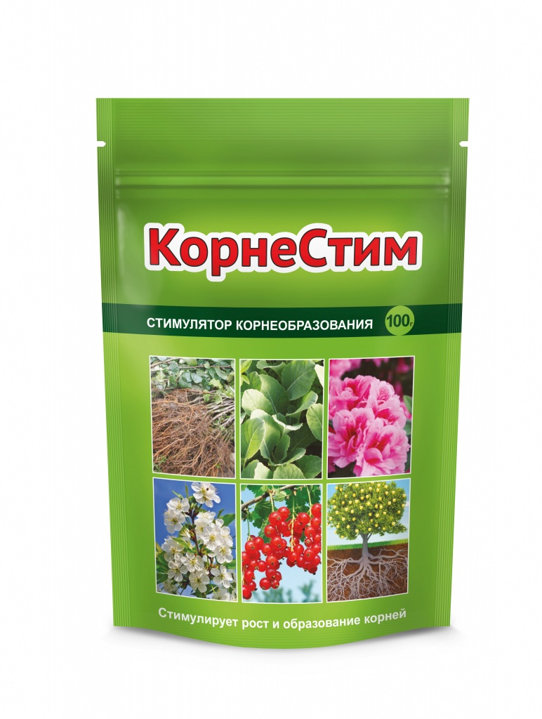 kornestim_100g_paket_zip_lock_mntg3d_5DM4_40536_bg_ver2021-02_4680028948391.jpg