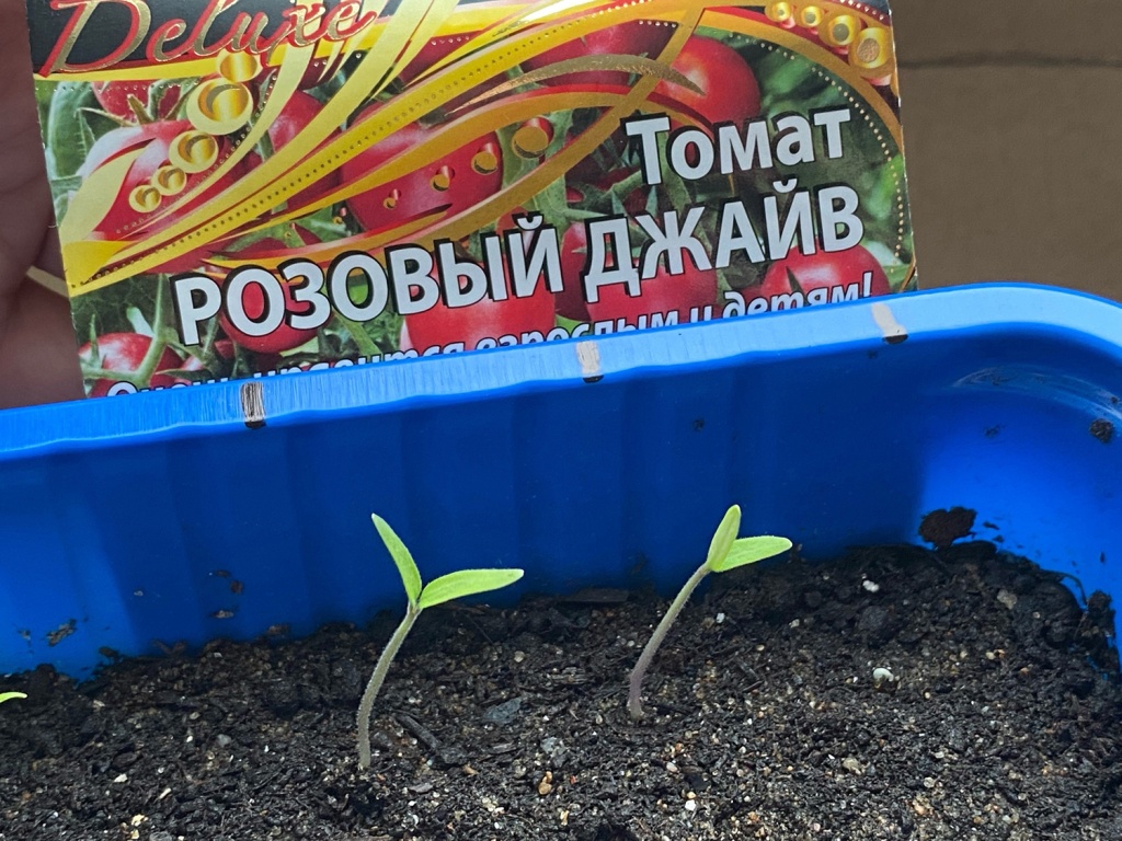 YWo3hbjhsVg.jpg