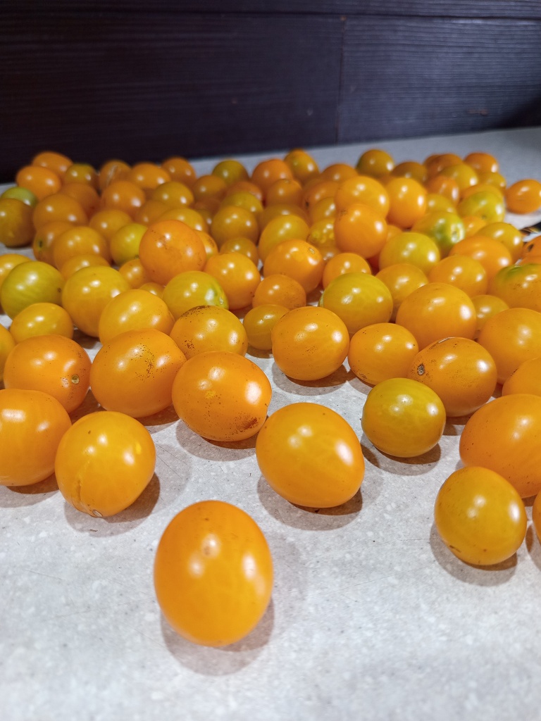 Самые спелые в салат, остальные — в консервацию.jpg