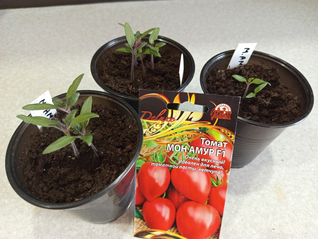 Начало положено.jpg