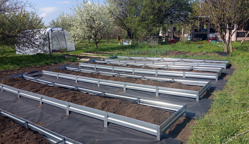 1746065773872шшш.jpeg 1746065773872шшш.jpeg