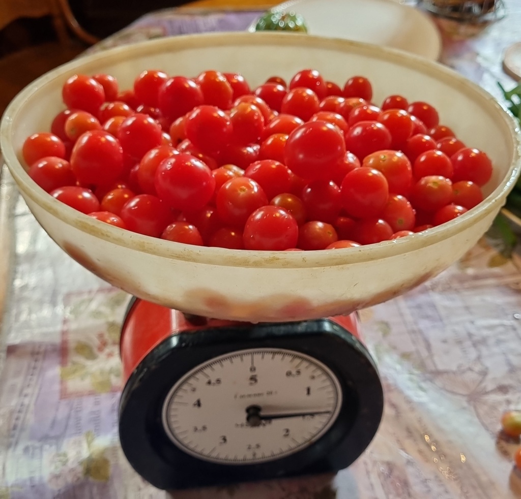 IMG-20240911-WA0035.jpeg