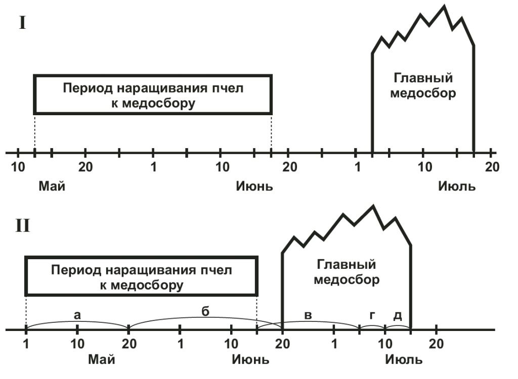 медосбор.jpg