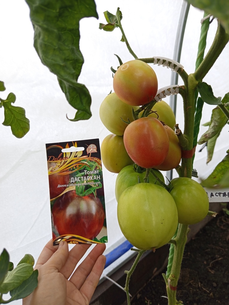 Кистедержатель Улитка не позволяет кистям переламываться.jpg