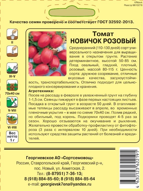 Томат новичок описание и отзывы урожайность характеристика. Томат Фила 1. Томат розовый новичок (50гр)( поиск-профи). Томат новичок розовый. Томат новичок розовый характеристика.