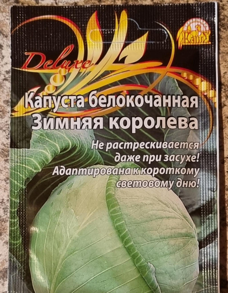 20241003_191017.jpg
