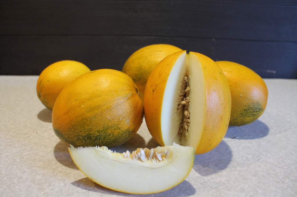 Дыня Лада.JPG