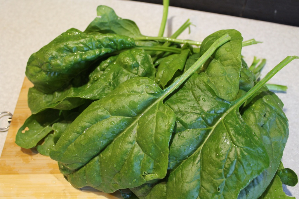 05. Излишки шпината можно заморозить на зиму.JPG