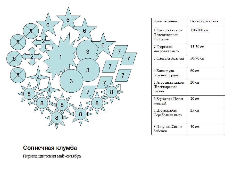 Солнечная клумба.jpg