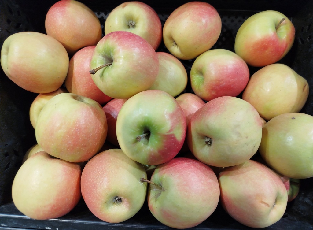 Яблоки Крипс Пинк.jpg