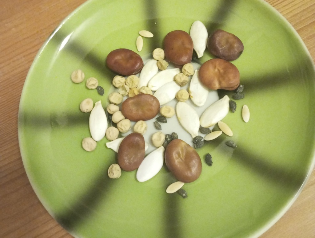 семена на тарелке.jpg