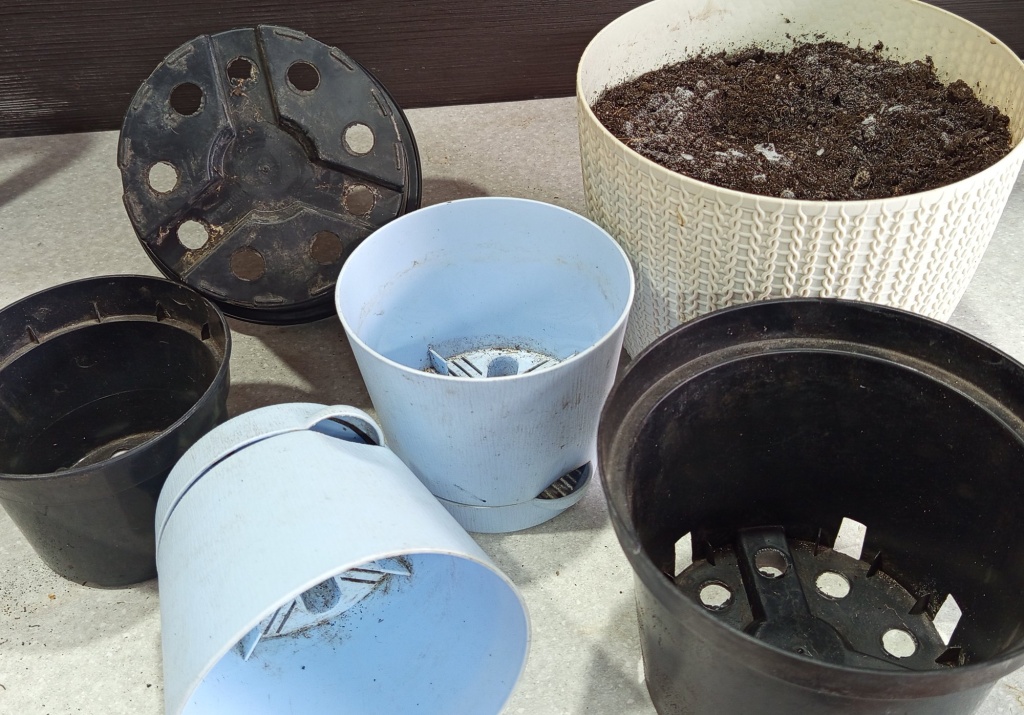 IMG_20260303_165005шшш.jpg IMG_20260303_165005шшш.jpg