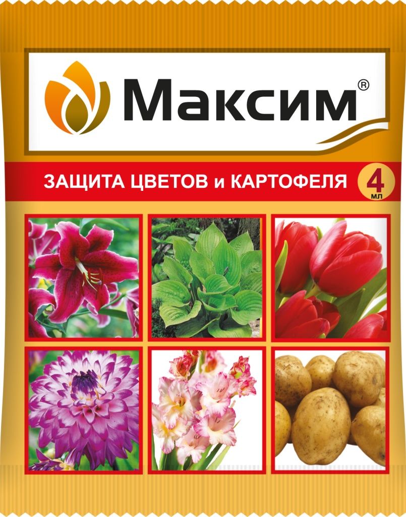 maksim_syngenta_4ml_montag_ver2019_01_bg_no_shadow_4620015699837.jpg