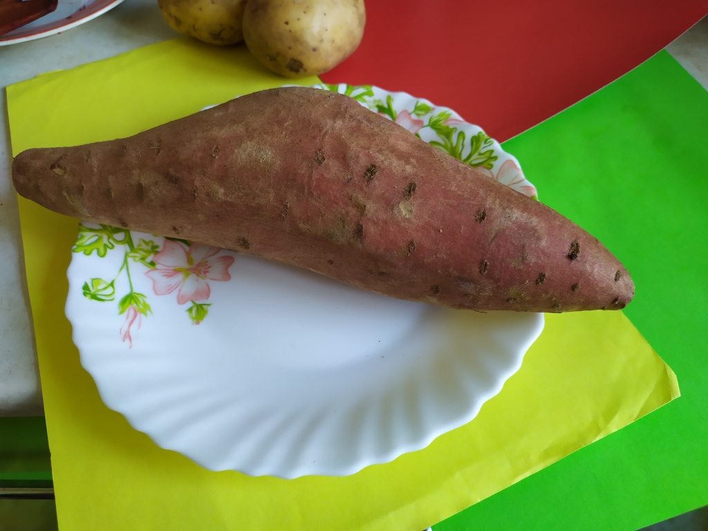 Картошка Батат Фото
