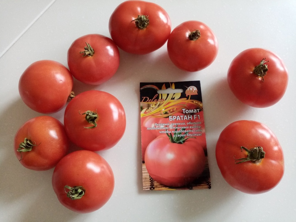 Қызы мен әкесінің порно моделін онлайн көру