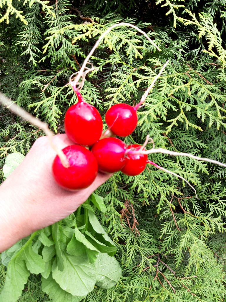 20230930_104335.jpg
