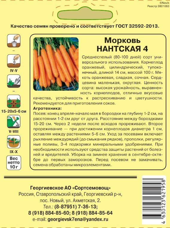 Морковь НАНТСКАЯ 4ю.jpg
