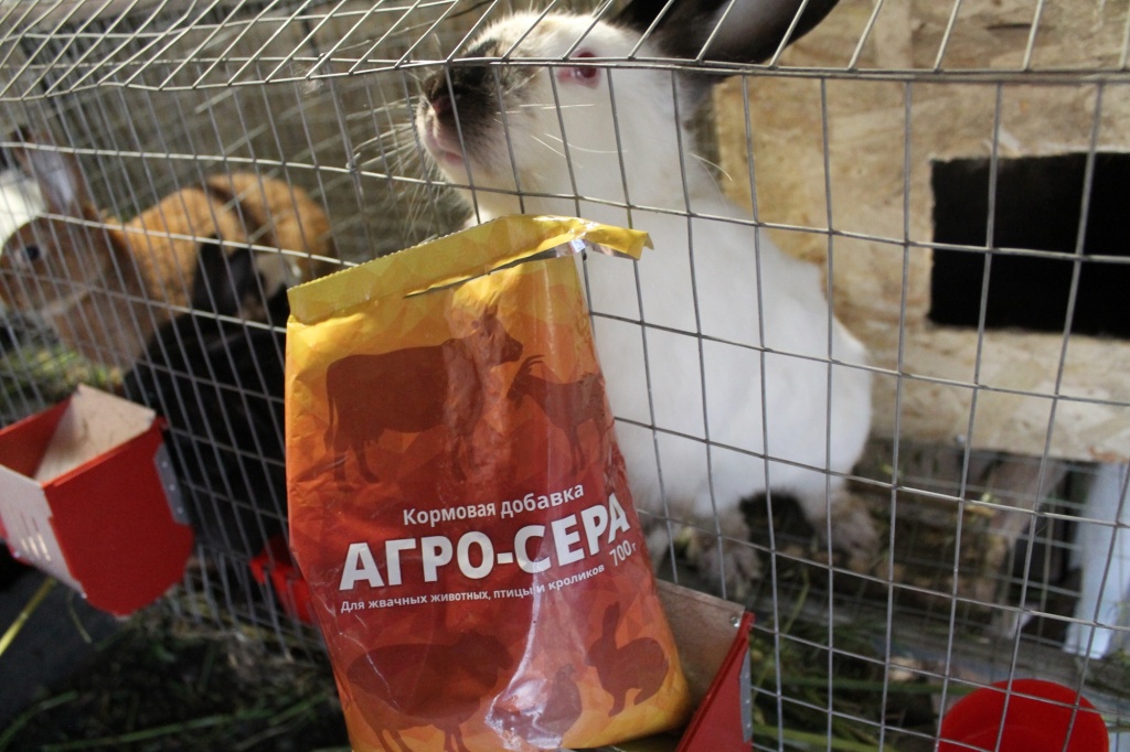 IMG_4386шшш (1).JPG