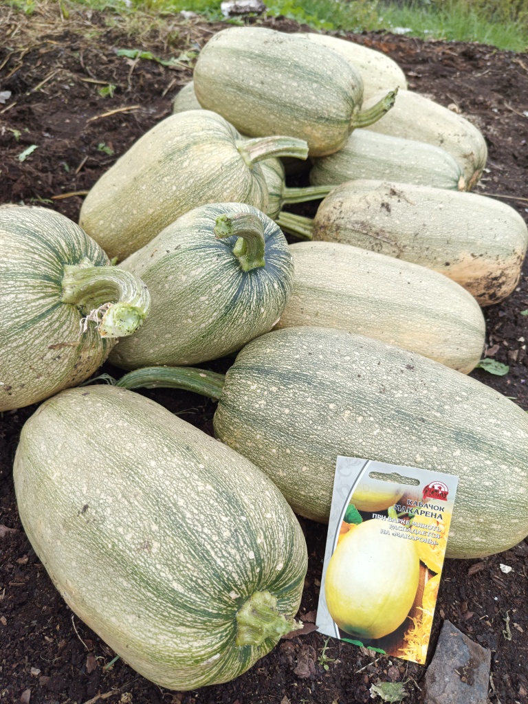 Вот это поворот! Откуда их столько наросло_!.jpg Вот это поворот! Откуда их столько наросло_!.jpg