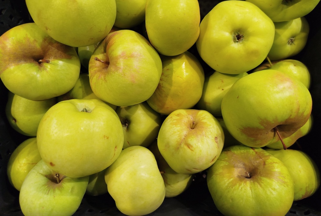 Яблоки Богатырь.jpg