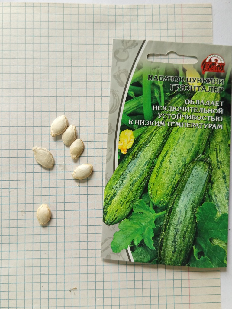 Семена перед посевом лучше прорастить.jpg