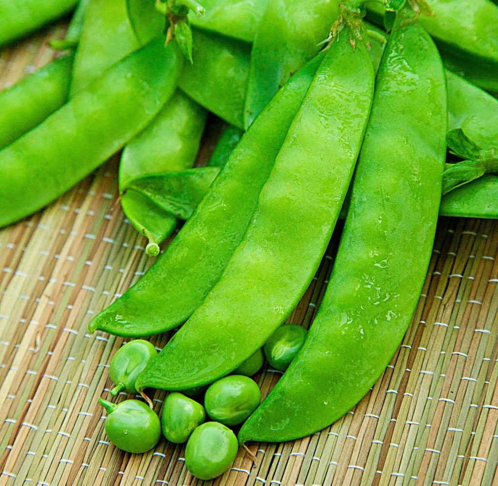 photo_20150710_ovoshi_goroh_ovoshnoi_oskar_agro_.jpg photo_20150710_ovoshi_goroh_ovoshnoi_oskar_agro_.jpg