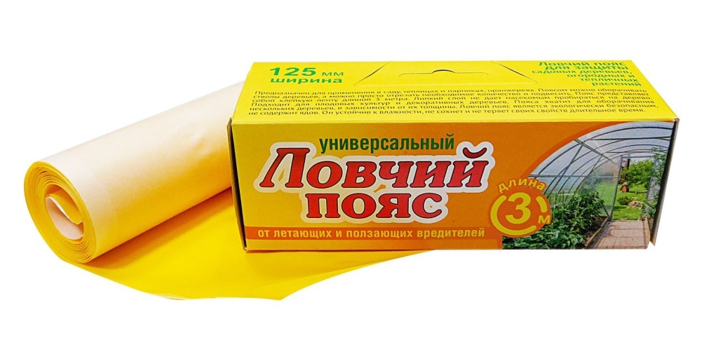ЛП универс.jpg ЛП универс.jpg