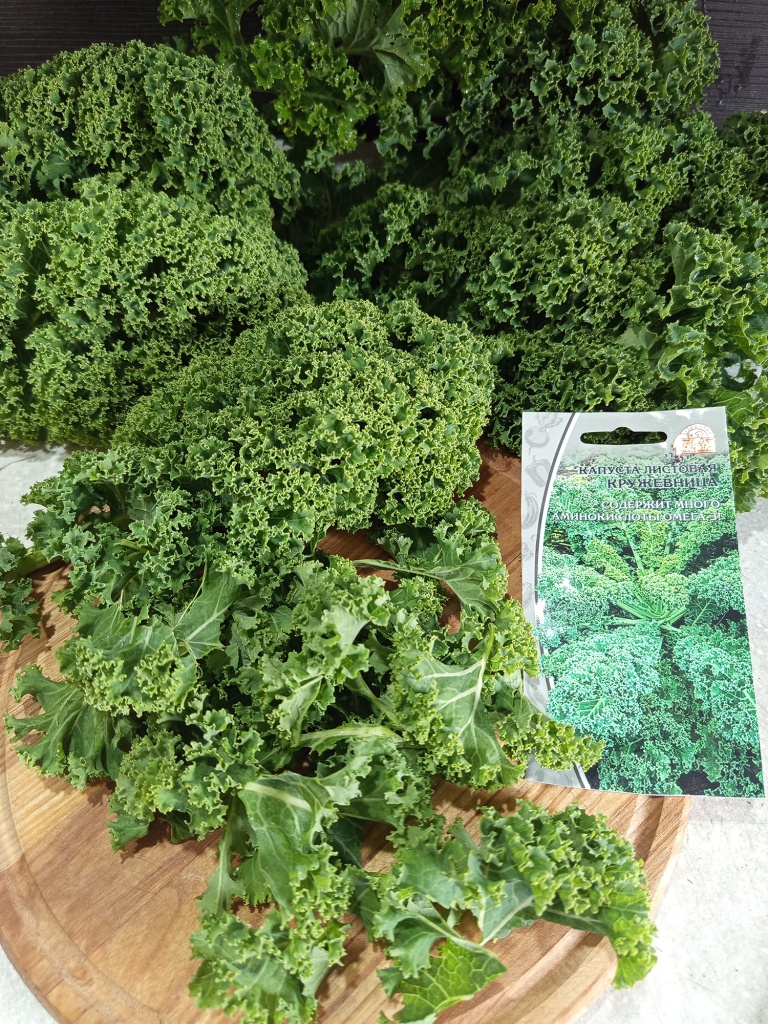 IMG_20250924_115841.jpg IMG_20250924_115841.jpg