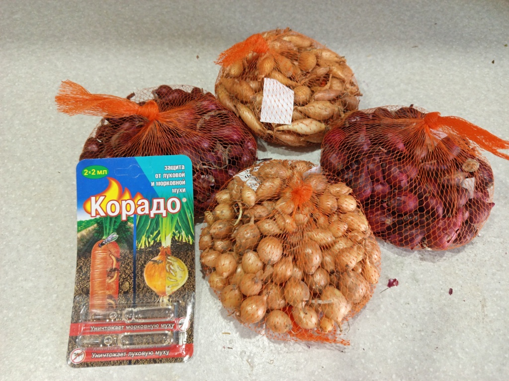 1744448010591.jpg 1744448010591.jpg