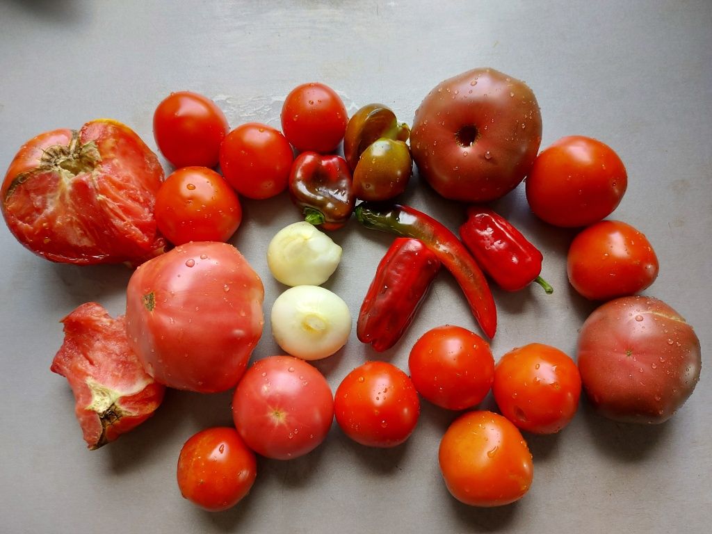 Красные, жёлтые, зелёные, коричневые и белые – разноцветным томатам быть!