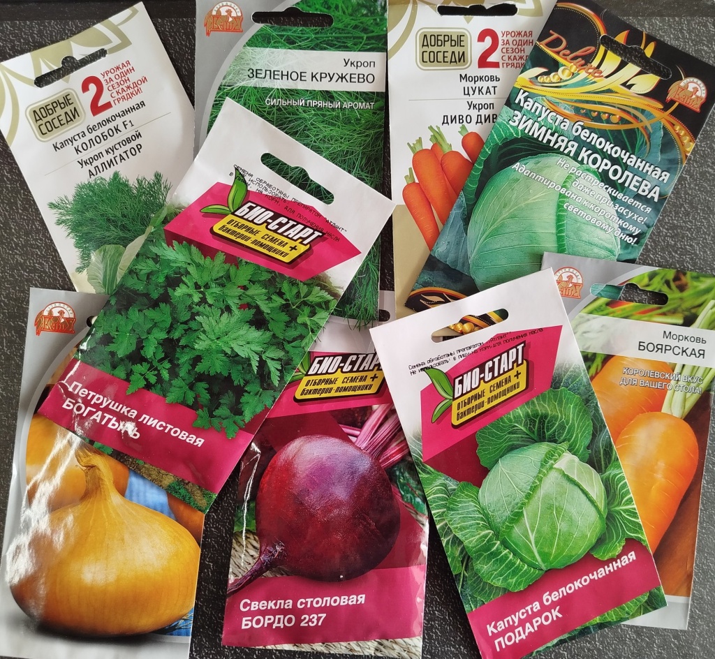 IMG_20260304_103401.jpg IMG_20260304_103401.jpg