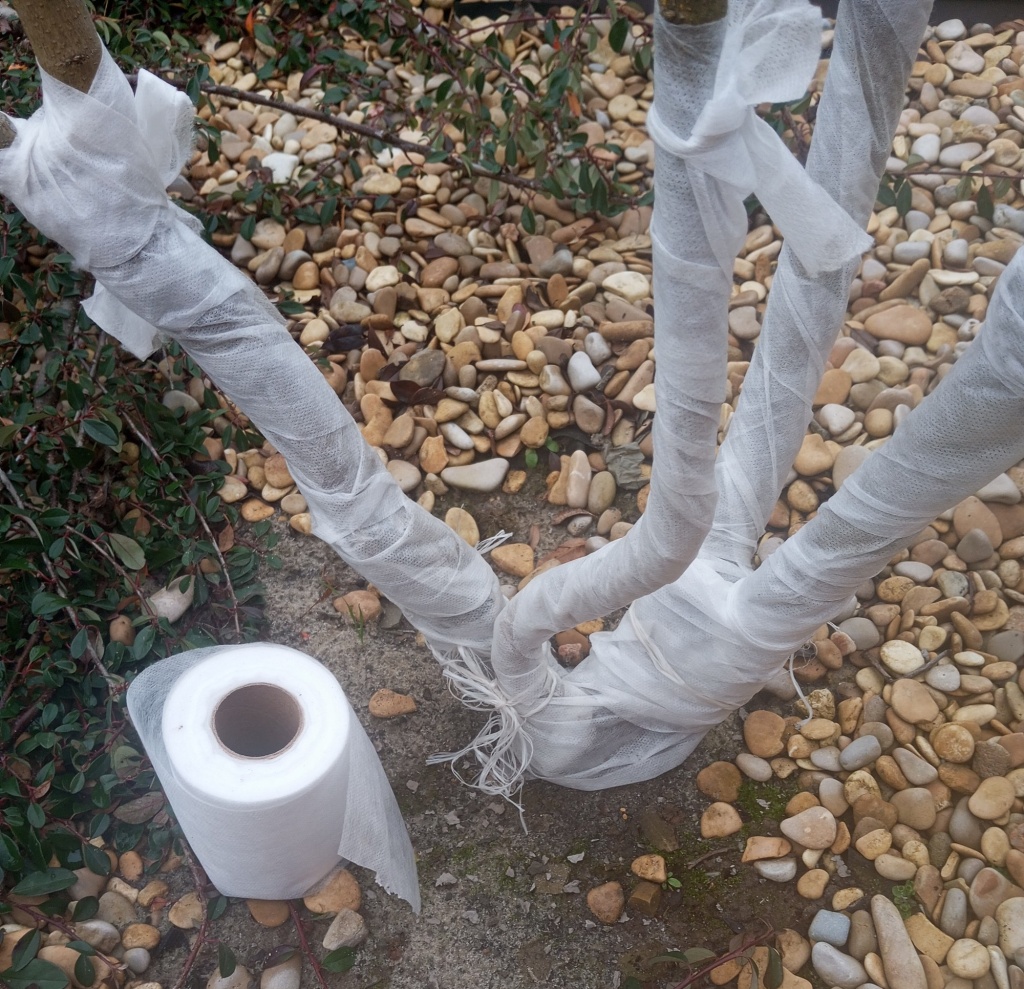 бинт садовый 4.jpg