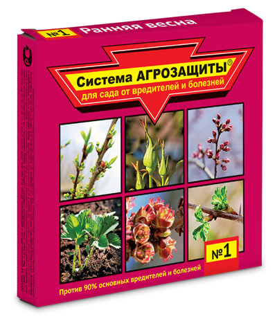 Чем обработка плодовых деревьев и опрыскивание, сроки, сроки, препараты. Чем обработать плодовые деревья и кустарники ранней весной до и после распускания почек, после цветения?