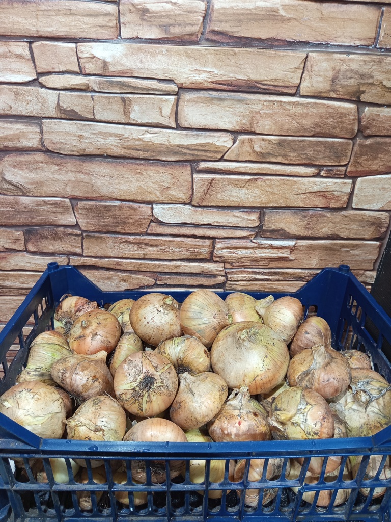 10 кг отборного лука с одного пакетика семян.jpg 10 кг отборного лука с одного пакетика семян.jpg