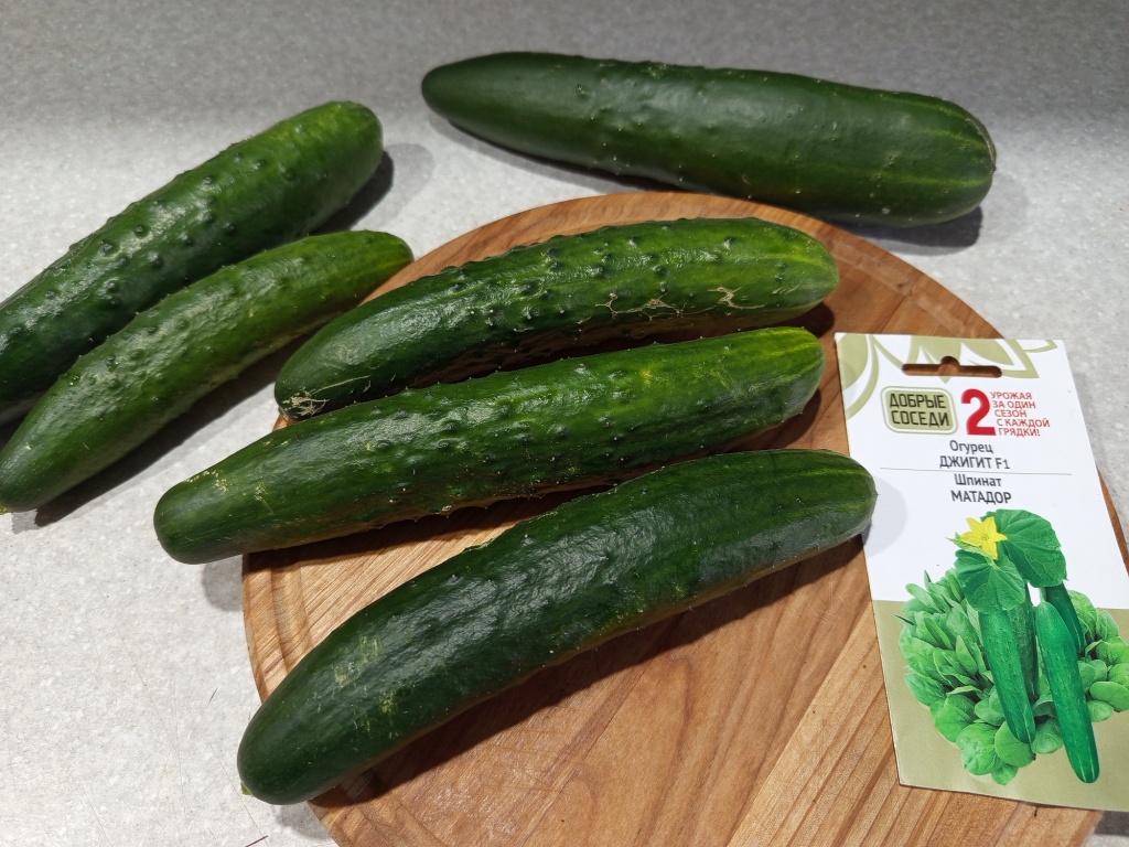01. Огурец Джигит F1.jpg