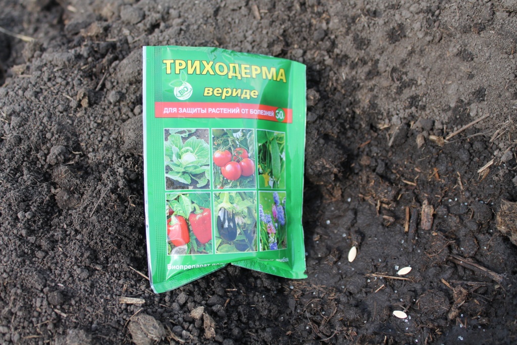 02. Внесение триходермы под посадку — залог здоровья огурцов.JPG