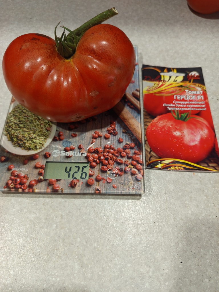 Вес самых крупных помидоров переваливает за 400 г.jpg Вес самых крупных помидоров переваливает за 400 г.jpg