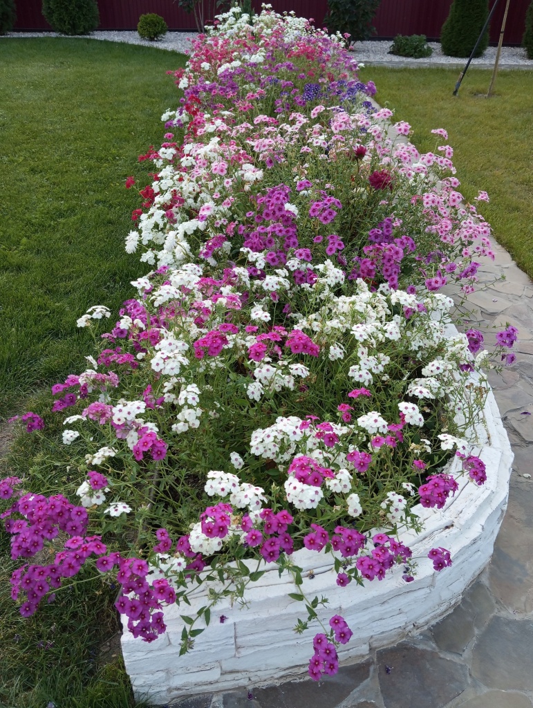 Цветочный подиум.jpg