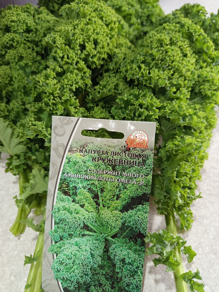 IMG_20250924_115424.jpg IMG_20250924_115424.jpg