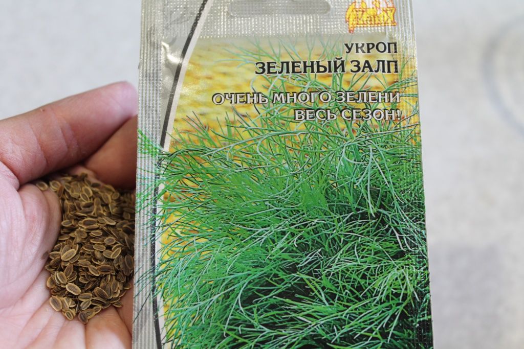 Зеленый залп.JPG