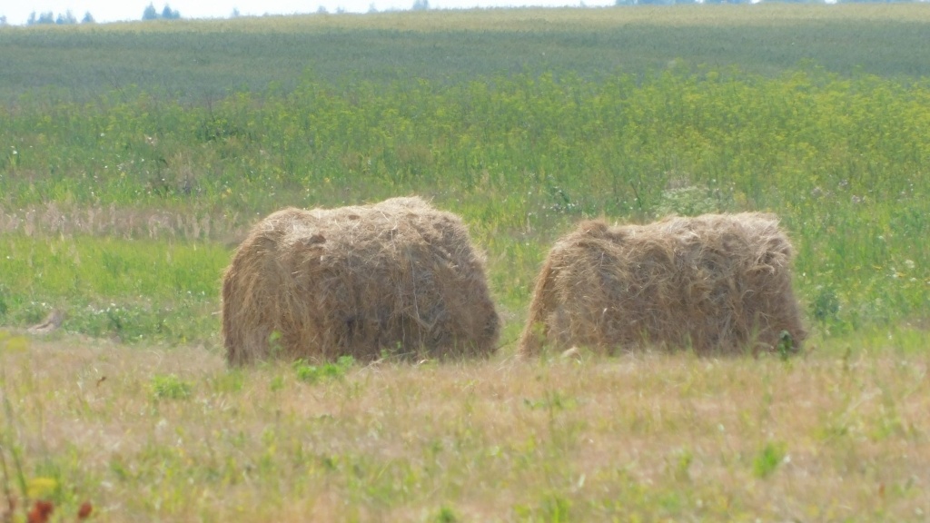 DSCN7849.JPG
