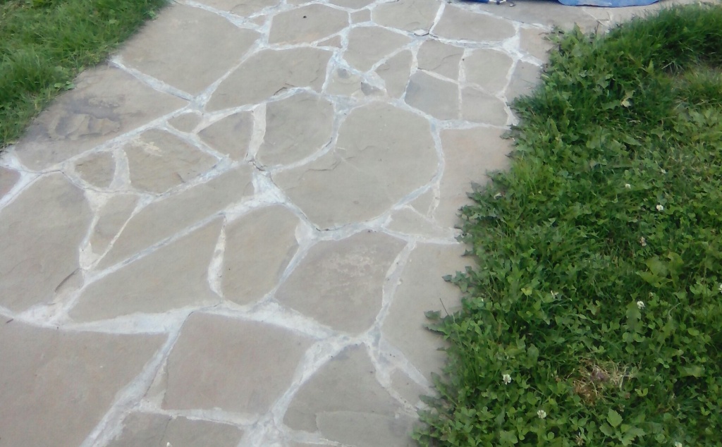 Дорожка 1.jpg