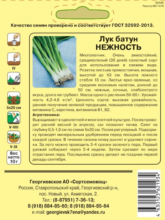 Лук батун апрельский выращивание из семян. Лук батун апрельский описание. Лук премьера батун (1 г) Агрос. Лук батун аккорды.