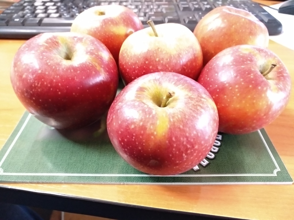 Яблоки Мэджик Стар.jpg