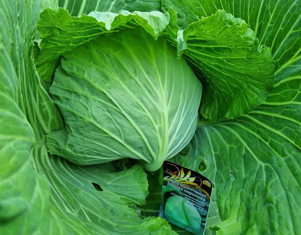 20240806_182558.jpg