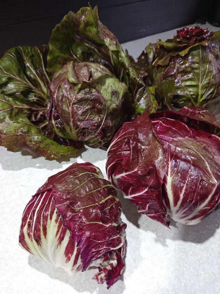 Нарядный и аппетитный.jpg